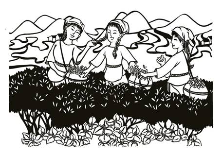 二等奖-李明怡-采茶图