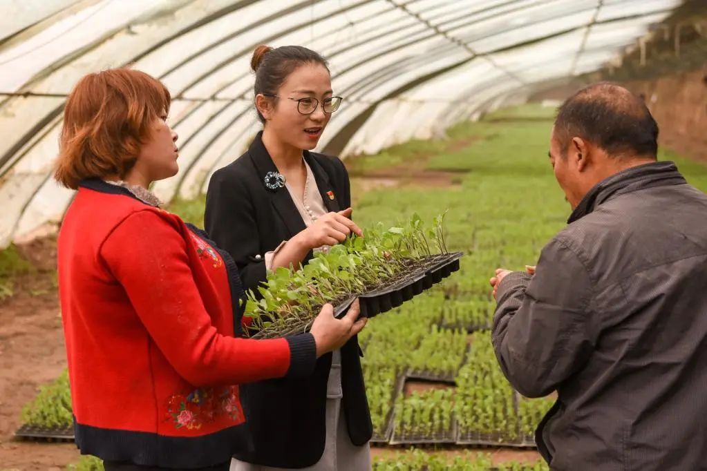 1128635065_16521100951271n.jpg 图片