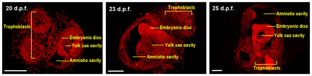 三亿体育_三亿(中国)一站式服务官方网站