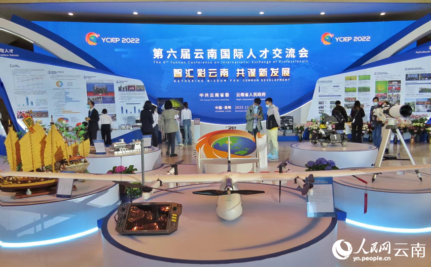 第六届云南国际人才交流会人才工作专题展。人民网 刘怡摄