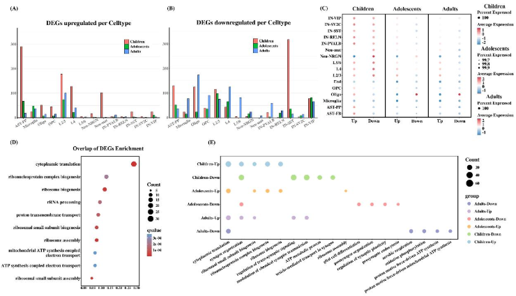 屏幕截图 2025-06-10 110941.png