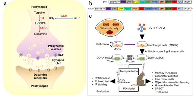 三亿体育_三亿(中国)一站式服务官方网站