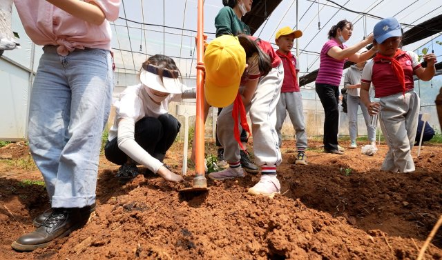 三亿体育_三亿(中国)一站式服务官方网站